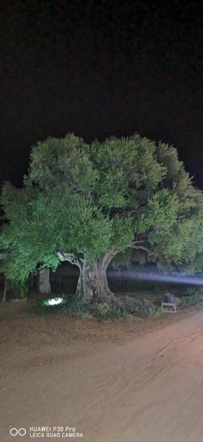Azienda Multifunzionale S'Ozastro Marinella  Luaran gambar